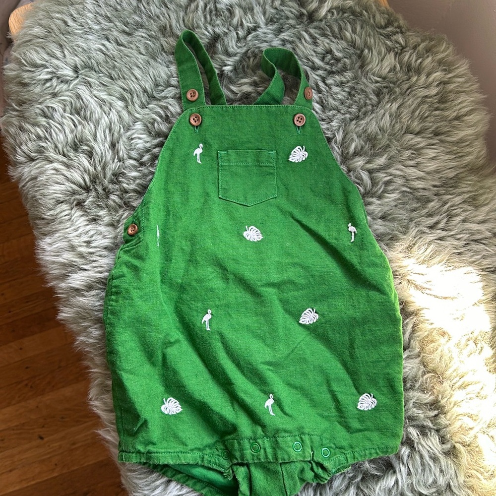 Janie and Jack overalls